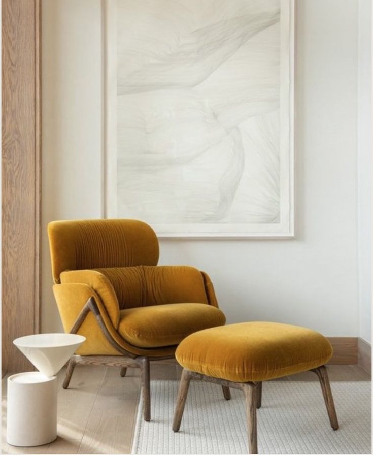 مبلمان: همه چیز درباره انتخاب، خرید و نگهداری