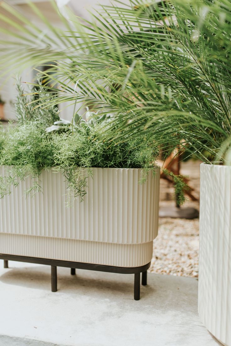 فلاور باکس: طراحی و استفاده از جعبه‌های گل در دکوراسیون