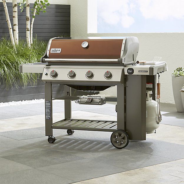 انواع دستگاه‌های باربیکیو: راهنمای کامل برای انتخاب بهترین مدل‌ها